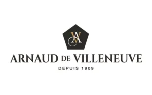 Read more about the article Arnaud de Villeneuve