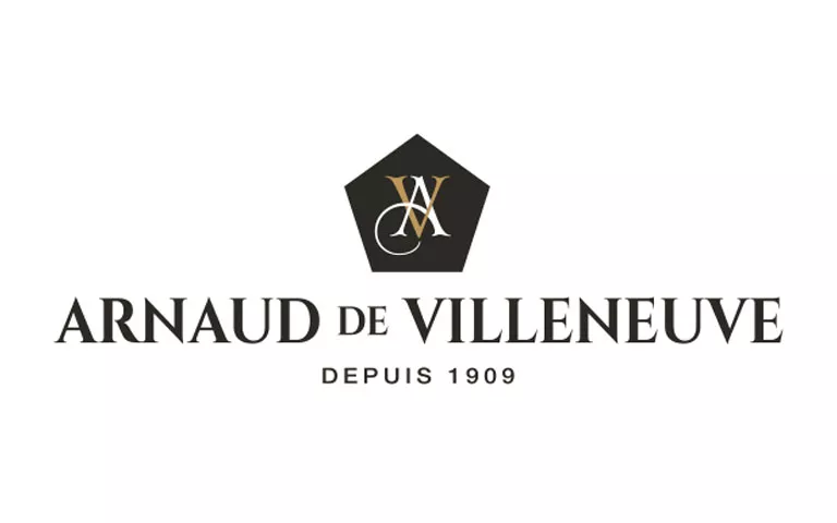Read more about the article Arnaud de Villeneuve