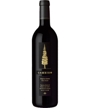 SEQUOIA CAMBIUM 2016
