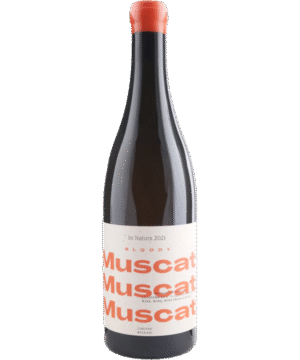 SCHODL BLOODY MUSCAT 2023