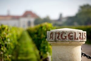 Prze/yszłość Bordeaux, czyli nowe trendy, zmiany i wyzwania przed jakimi stoi region Bordeaux