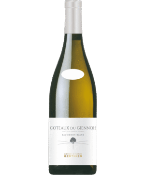 CLEMENT & FLORIAN BERTHIER COTEAUX DU GIENNOIS BLANC 2021