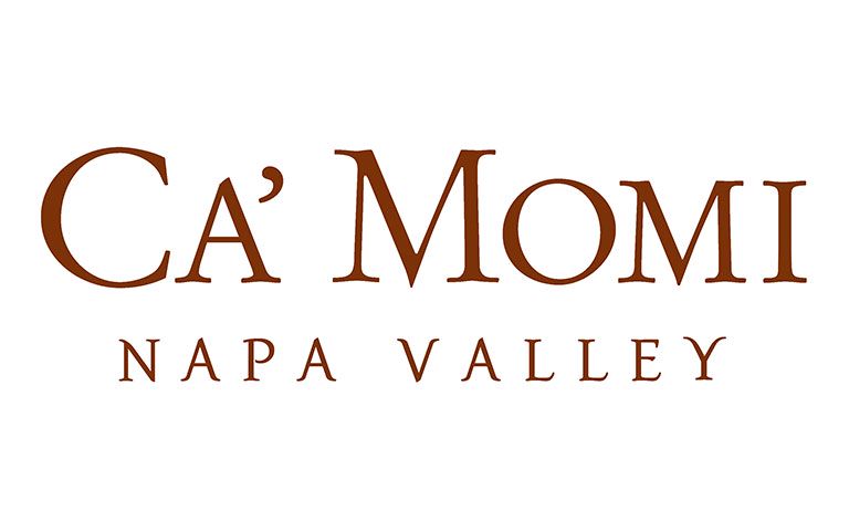 Read more about the article CA MOMI