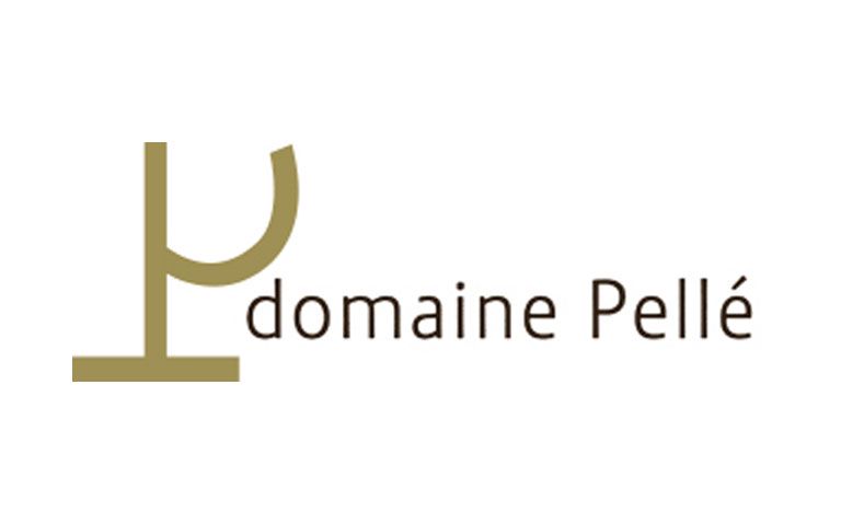 Read more about the article DOMAINE PELLÉ