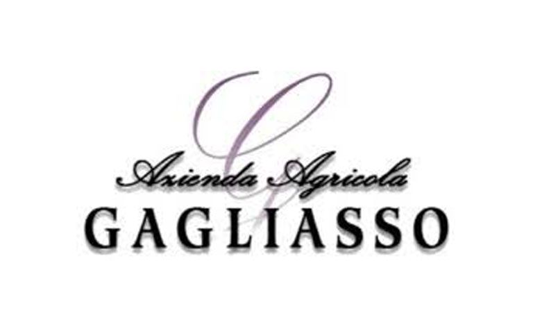 Read more about the article MARIO GAGLIASSO