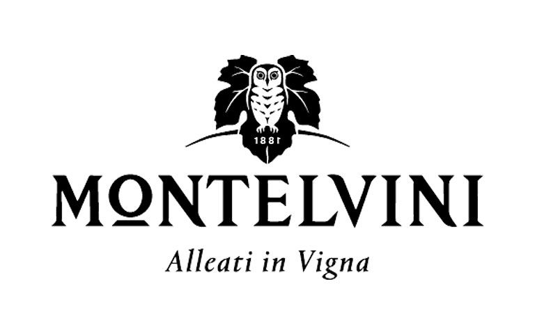 Read more about the article MONTELVINI