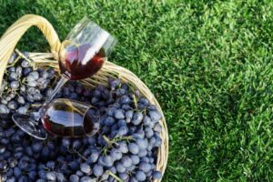 Pinot Noir inny niż wszystkie?