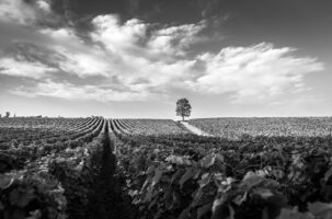 Franciacorta