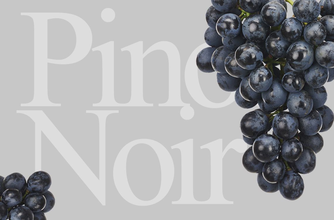 Read more about the article Pinot noir poza Burgundią – Winne degustacje Winkolekcji